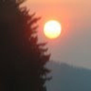 Meet your Posher, Theresa